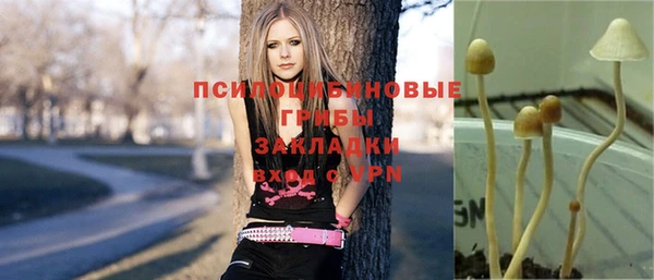 COCAINE Богородск