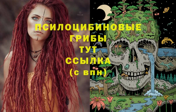 гашиш Богородицк