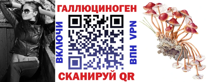 МЕГА онион  купить наркотики цена  Петухово  Галлюциногенные грибы прущие грибы 